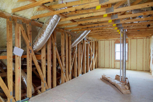 Best Spray Foam Insulation  in Roanoke, AL