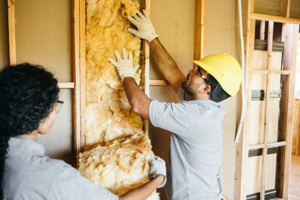 Reliable Roanoke, AL Insulation Contractor Solutions