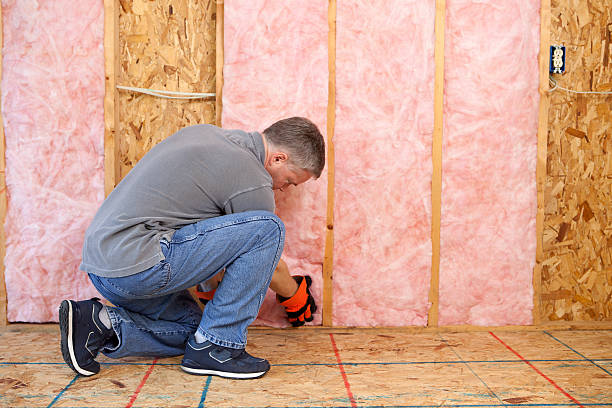 Best Best Insulation Companies  in Roanoke, AL